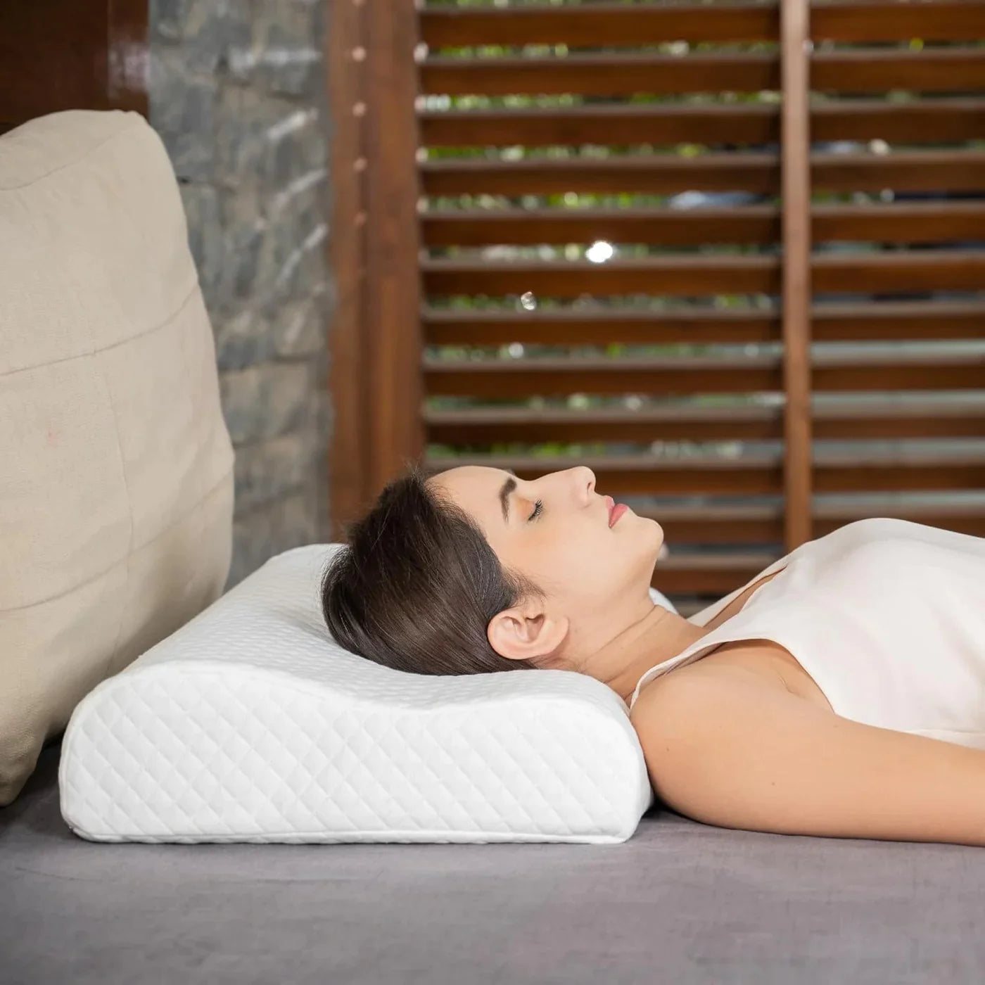 Restora Pillow